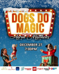 Dogs Do Magic: A Canine Christmas